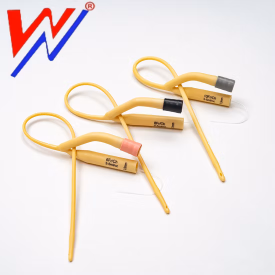 Medical Disposable Indwelling Urinary Catheter 2 Way Foley Catheter Fr06 to Fr30