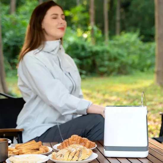 Outdoor and Travel Portable Pulse Flow Oxygen Concentrator Medical Oxygen Generator